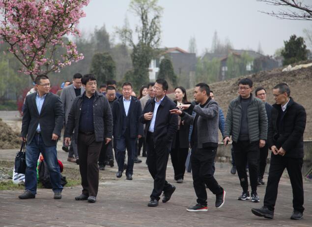 集團領(lǐng)導(dǎo)赴街子項目地調(diào)研指導(dǎo)工作